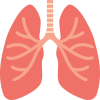 lungs